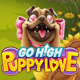 Official Slots logo: Go High Puppy Love by RubyPlay at Corgibet Casino