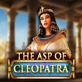 Play The Asp of Cleopatra slot by Red Rake Gaming on coorgibet.com